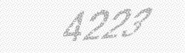 Visual security code — type the characters shown in the image