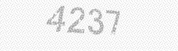 Visual security code — type the characters shown in the image