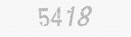 Visual security code — type the characters shown in the image